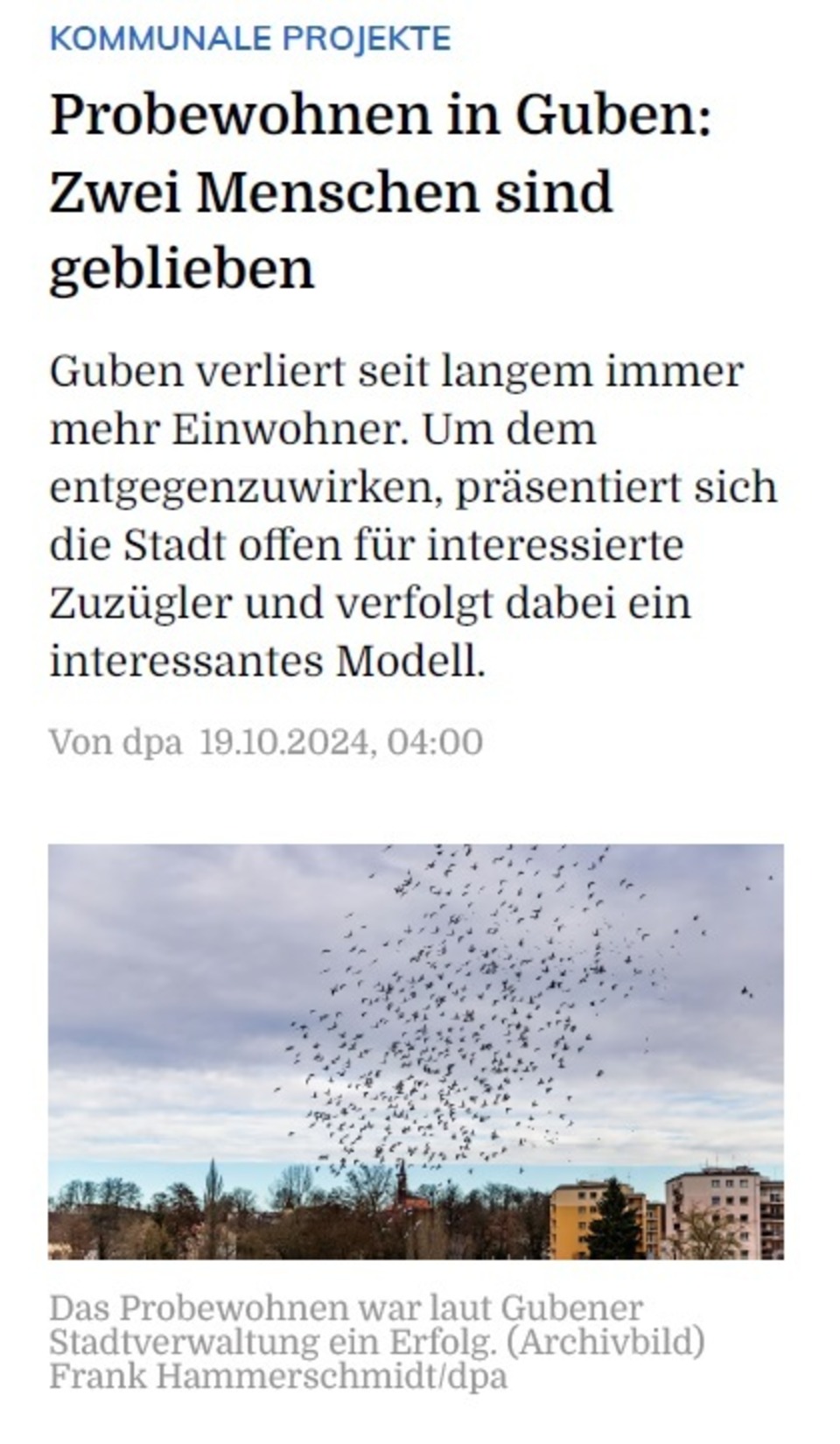 2024_10_19_Mitteldeutsche_Zeitung_Probewohnen1.jpg